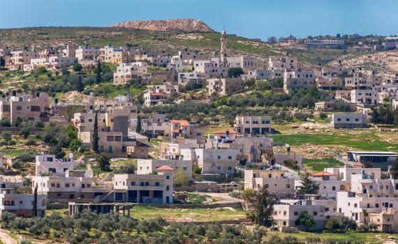 מח"ט עציון: "דובדבן, מג"ב ושב"כ לכדו את המחבל"
