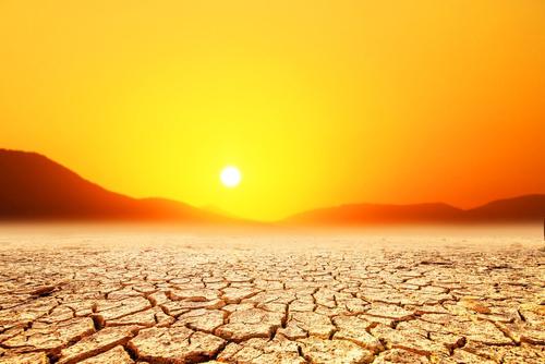 טירוף | החום יתגבר ויגיע ל-45 מעלות: תחזית מזג אוויר