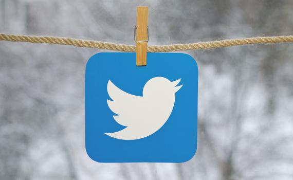 הצעד הבא של אילון מאסק: תגידו להתראות לציפור