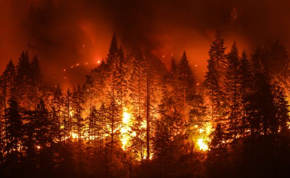 שיא עולמי: החודש האחרון – החם ביותר מאז המאה ה-19