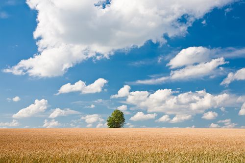 ירידה בטמפ'; ומתי גל החום יתחדש? תחזית מזג אוויר לשבוע הקרוב