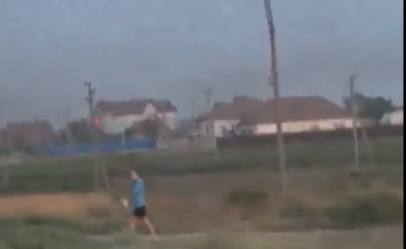 מכה ברוסיה: נחיל ארבה שטף את אסטרחן | צפו