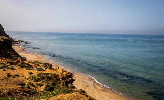 משרד הבריאות מזהיר: הרחצה בחופי חיפה מסוכנת