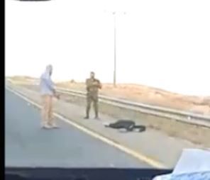 פיגוע שני ביום: ניסיון דקירה בהר חברון