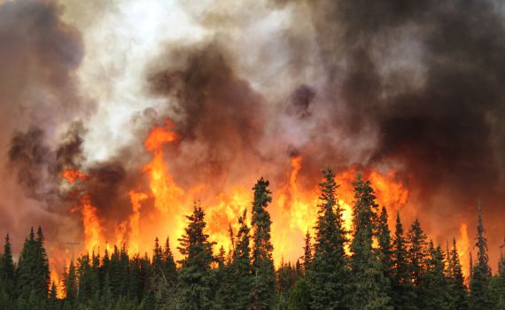 89 הרוגים בהוואי: "האסון הקטלני ביותר במאה שנים"