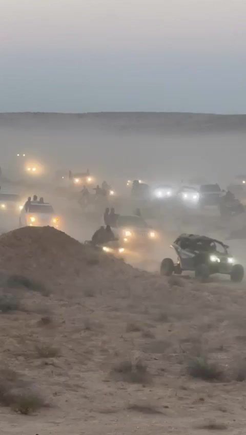 אפס משילות: מרוץ הגמלים של הבדואים בצאלים. צפו