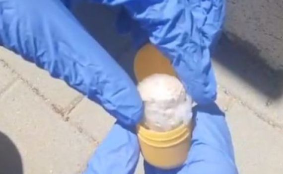 בתוך ביצי הפתעה: זה מה שהמשטרה מצאה