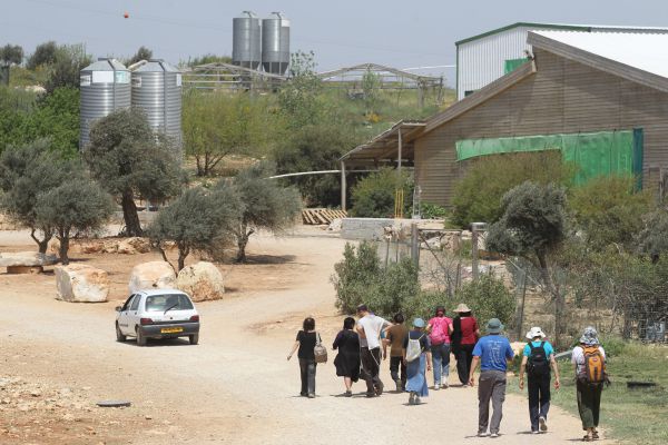זה הזמן שלכם לתת גב לגבעות
