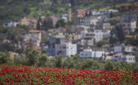 לראשונה: אזעקות נשמעו בנוף הגליל