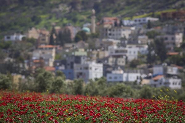 לראשונה: אזעקות נשמעו בנוף הגליל