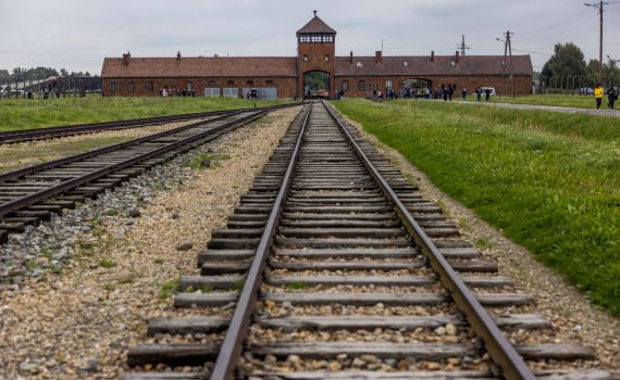 לבנה ממשרפות אושוויץ תוצג במוזיאון גוש קטיף