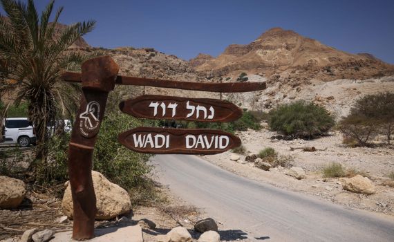 בן ה-8 שניצל מהאסון בנחל דוד: "חטפתי סלע בראש"