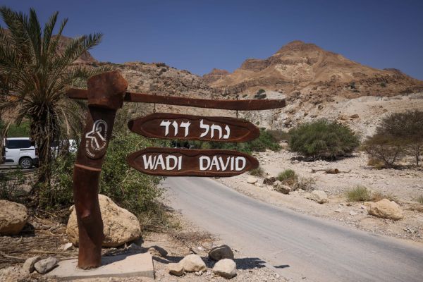 בן ה-8 שניצל מהאסון בנחל דוד: "חטפתי סלע בראש"