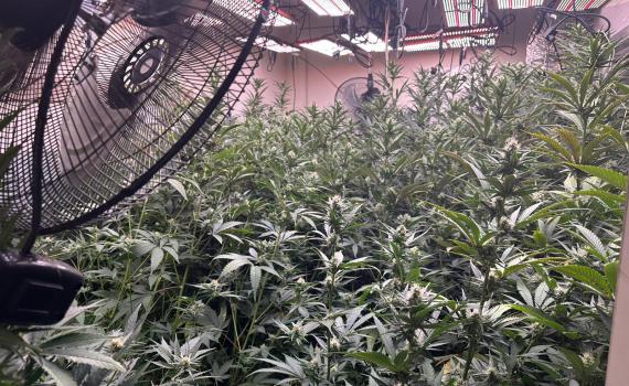 בני ברק: נחשפה מעבדת סמים בעיר