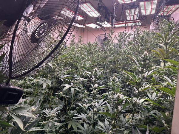 בני ברק: נחשפה מעבדת סמים בעיר