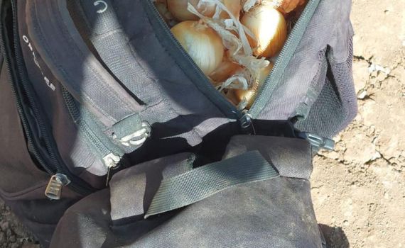 עמק יזרעאל: חשודים גנבו עשרות ק"ג של יבול – ונעצרו