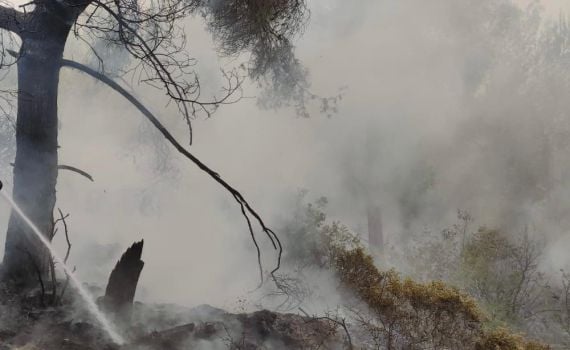 שריפה משתוללת בהרי ירושלים בסמוך לכביש 1