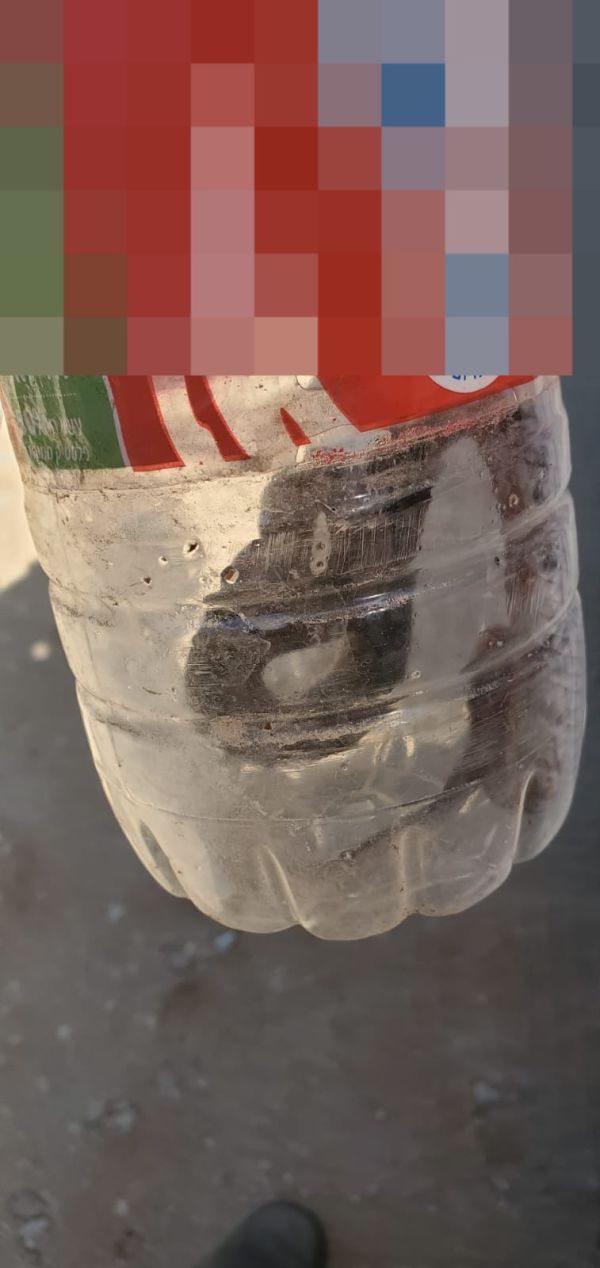 פרדס חנה: צעיר הוכש על ידי נחש – מצבו בינוני