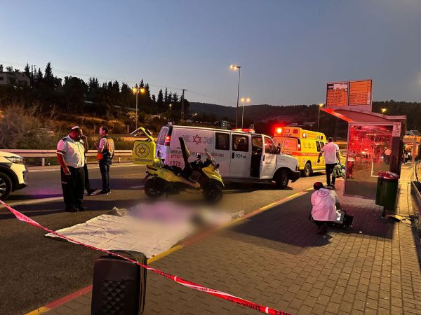 תאונה קטלנית: הרוג מפגיעת אוטובוס בכביש 1
