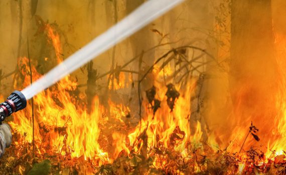 מקרון צייץ: "טרגדיה". 11 נכים נשרפו בצימר בצרפת