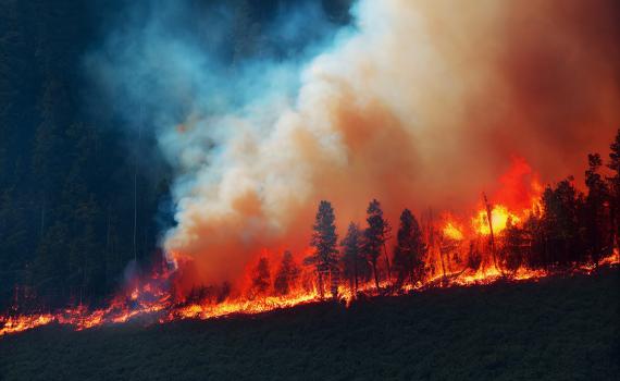 1000 שריפות בקנדה, בצפון הוכרז מצב חירום