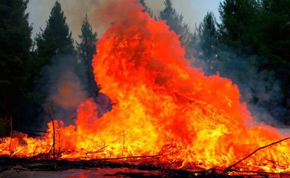 שריפות ענק ביוון: 18 בני אדם נהרגו ביערות