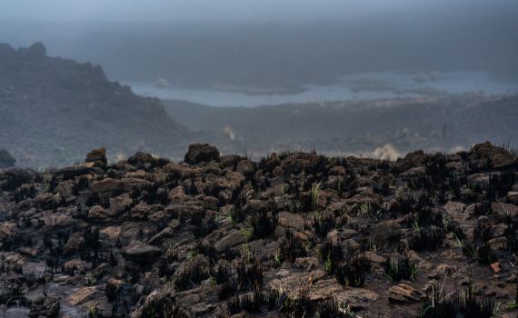 השריפות בהוואי: מניין ההרוגים עלה ל-99