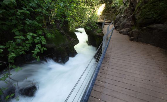 בשיא החום: משרד הבריאות מזהיר מזיהום בנחלים בצפון
