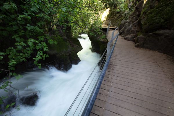 בשיא החום: משרד הבריאות מזהיר מזיהום בנחלים בצפון