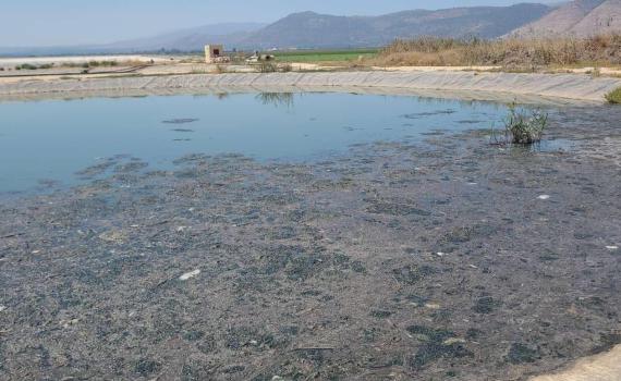 נמצאו יתושות נגועות בנגיף קדחת הנילוס בצפון ובמרכז