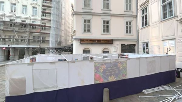 ב-25 שניות: חניכי בני עקיבא בנו סוכה במרכז וינה