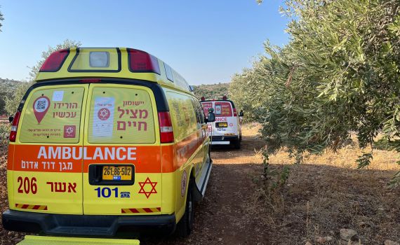 רצח כפול באבו סנאן: שני גברים נורו למוות ברכב