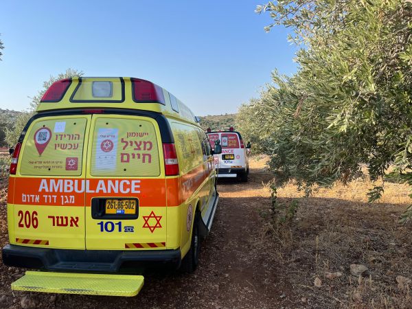 רצח כפול באבו סנאן: שני גברים נורו למוות ברכב