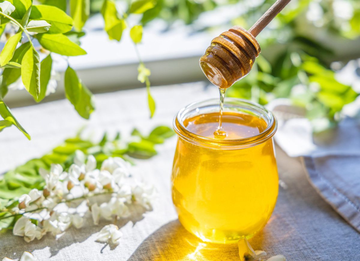 הסוד המתוק נחשף: מדוע דבש נשמר לנצח?