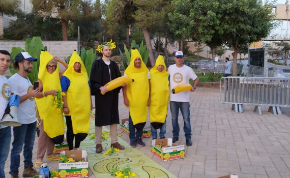 "רפובליקת בננות": המחאה של אם תרצו מול בג"ץ