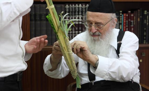 משבר הנהגה: המכתב שמטלטל את 'דגל התורה'