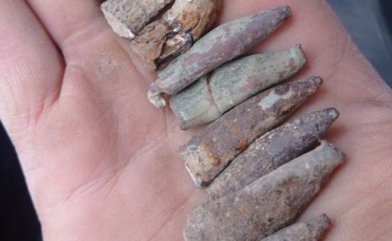 אחרי 75 שנים: נמצאו קליעים מתש"ח בגוש עציון