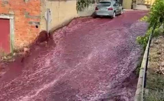 צפו: נהר יין נוצר בפורטוגל כתוצאה מתאונה ביקב