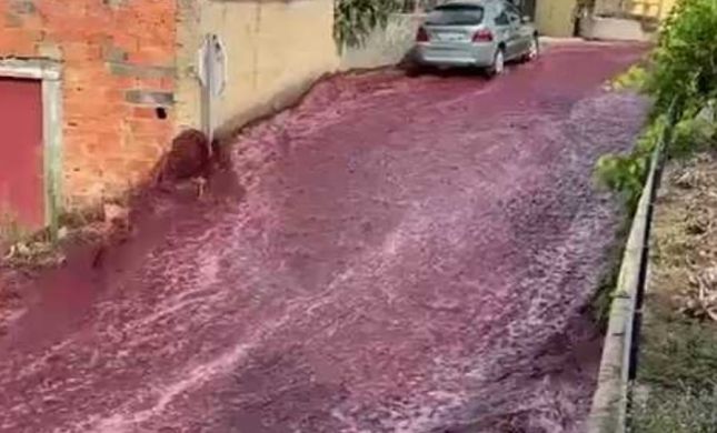  צפו: נהר יין נוצר בפורטוגל כתוצאה מתאונה ביקב