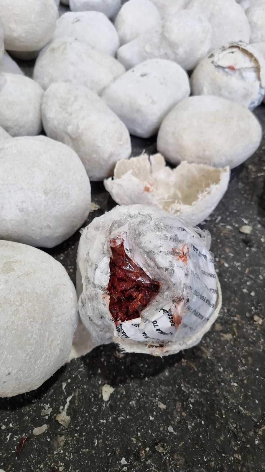 בודקי המכס לא האמינו: זה מה שנתפס בתוך חלוקי נחל