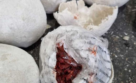 בודקי המכס לא האמינו: זה מה שנתפס בתוך חלוקי נחל