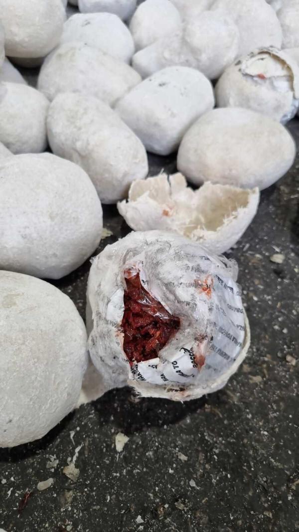 בודקי המכס לא האמינו: זה מה שנתפס בתוך חלוקי נחל