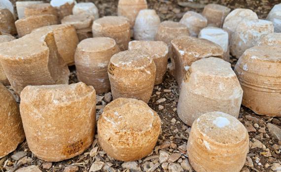 תגלית בבנימין: נחשף מרכז לייצור כלי אבן מימי בית שני