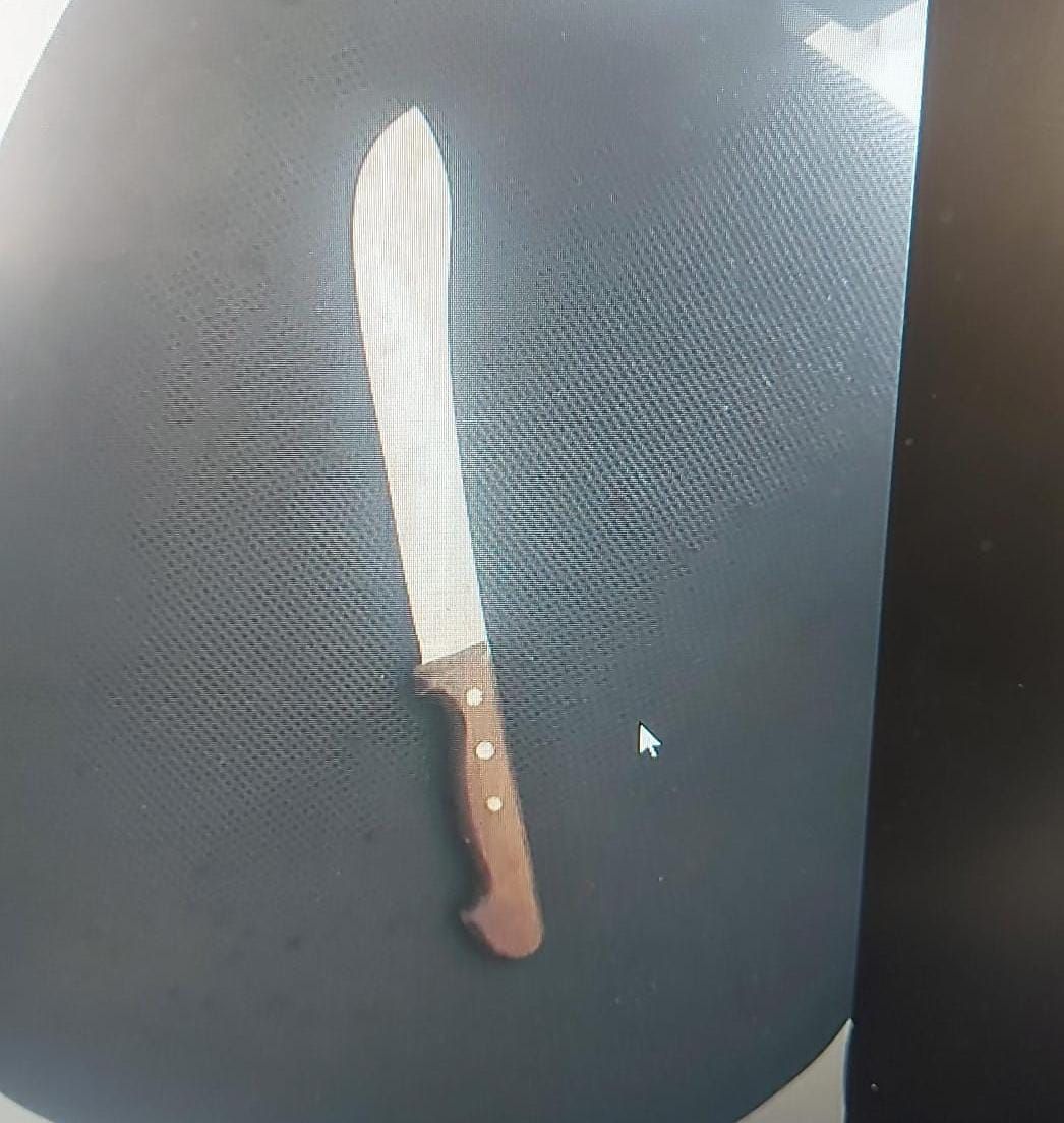 פלסטיני מעזה נעצר ברכבת עם סכין קצבים