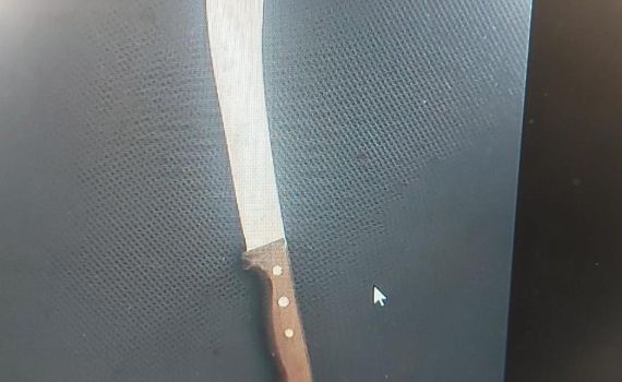 פלסטיני מעזה נעצר ברכבת עם סכין קצבים