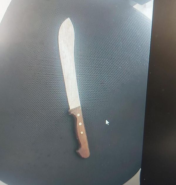 פלסטיני מעזה נעצר ברכבת עם סכין קצבים