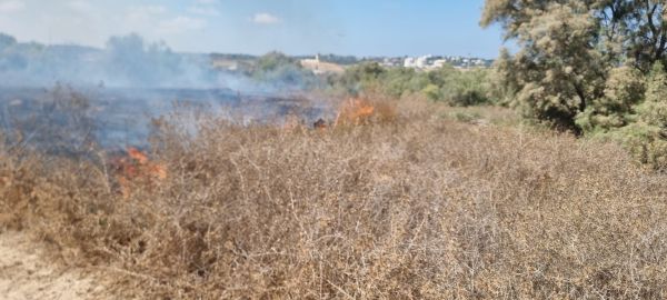 לאחר שנתיים: שריפה פרצה ביער כיסופים מבלון תבערה