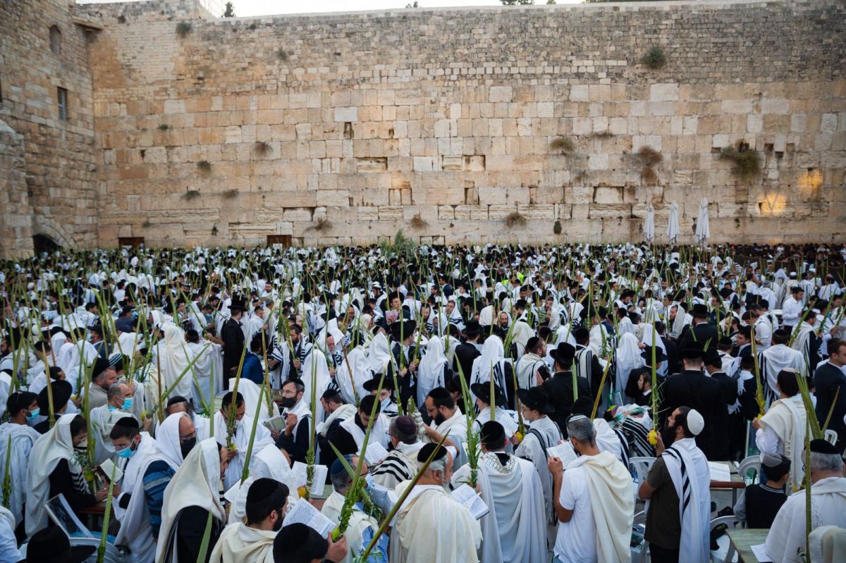 מדאיג: התלמיד החילוני לא מכיר את המורשת היהודית