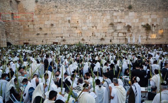 מדאיג: התלמיד החילוני לא מכיר את המורשת היהודית