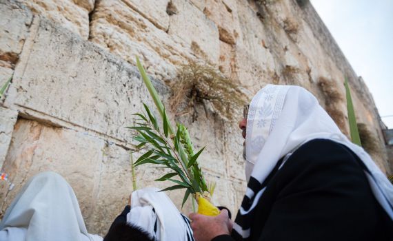 סוכות בכותל: השנה יהיו שני מעמדים של ברכת כהנים